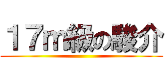 １７ｍ級の駿介 ()