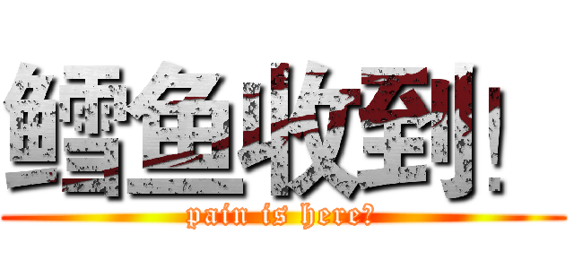 鳕鱼收到！ (pain is here！)