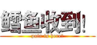 鳕鱼收到！ (pain is here！)