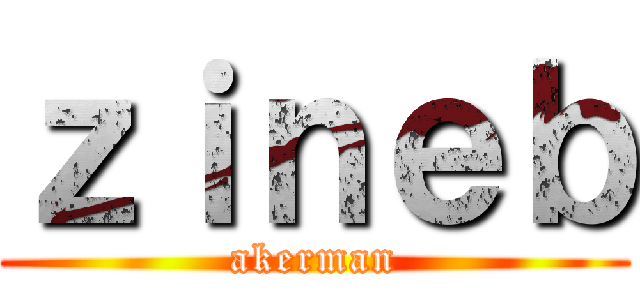ｚｉｎｅｂ (akerman)