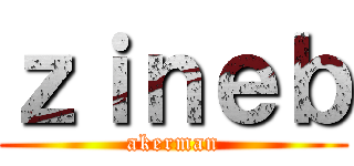 ｚｉｎｅｂ (akerman)
