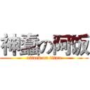 神蠢の阿饭 (attack on titan)