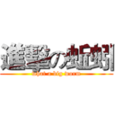 進擊の蚯蚓 (what a big worm)