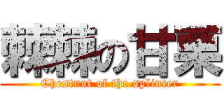 棘棘の甘栗 (Chestnut of the splinter)