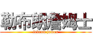勒布朗詹姆士 (lebron james)