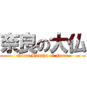 奈良の大仏 (Great Buddha of Nara)