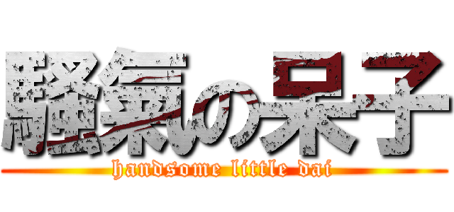騷氣の呆子 (handsome little dai)