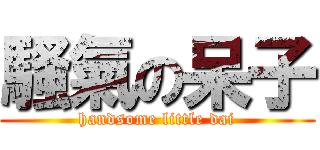 騷氣の呆子 (handsome little dai)