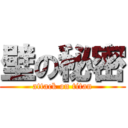 壁の秘密 (attack on titan)