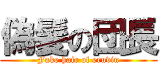 偽髪の団長 (Fake hair of eruvin)