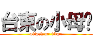 台東の小母雞 (attack on titan)