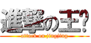 進撃の王嬸 (attack on jingjing)