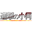 進撃の小何 (he li jiao)