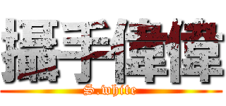 攝手偉偉 (S.white)