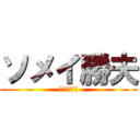 ソメイ勝夫 (そめいかつお)