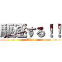 駆逐する！！ (Ellen)