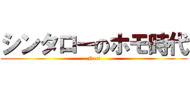 シンタローのホモ時代 (Neet)