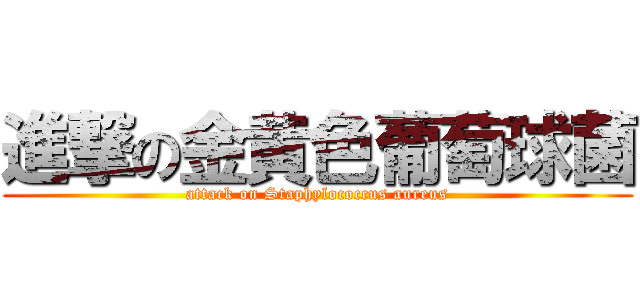 進撃の金黄色葡萄球菌 (attack on Staphylococcus aureus)