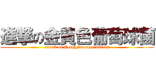 進撃の金黄色葡萄球菌 (attack on Staphylococcus aureus)