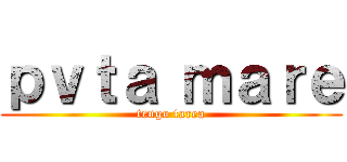 ｐｖｔａ ｍａｒｅ (tengo tarea)