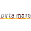 ｐｖｔａ ｍａｒｅ (tengo tarea)