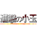 進擊の小玉 (attack on xioayu)