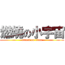 燃燒の小宇宙 (attack on titan)