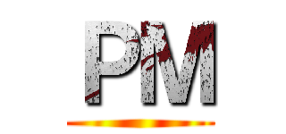 ＰＭ ()