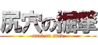 尻穴の掘撃 (anal on stab)