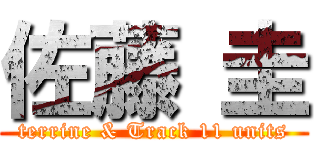 佐藤 圭 (terrine & Track 11 units)