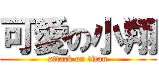可愛の小翔 (attack on titan)