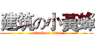 建筑の小黃蜂 (attack on titan)