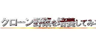 クローン野菜を培養してみる！ (Let's grow cloned vegetables!)