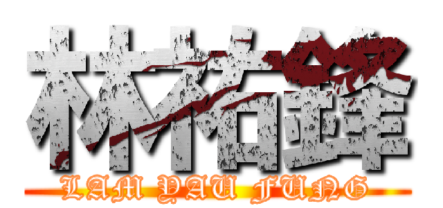 林祐鋒 (LAM YAU FUNG)