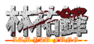 林祐鋒 (LAM YAU FUNG)