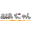 あぽいにゃん ()