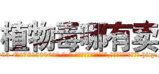 植物毒哪有卖 (植物毒哪有卖【电-186x2687x6963-Q278180069元-吉-药-业】我们做的是长期生意,靠的是老客户长期支持 http://sngk.net/NqlLwa
)