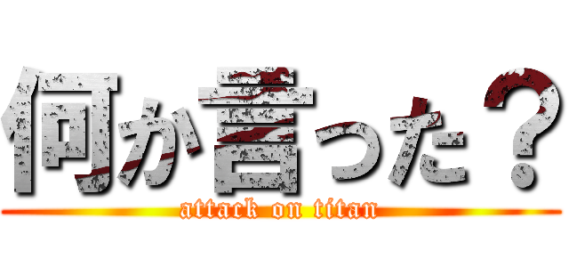 何か言った？ (attack on titan)
