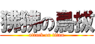 狒狒の鳥拔 (attack on titan)