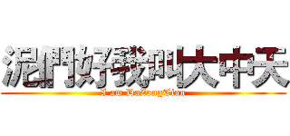 泥們好我叫大中天 (I am DaZongTian)