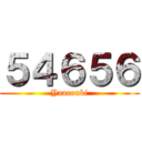 ５４６５６ (Yaacoubi)