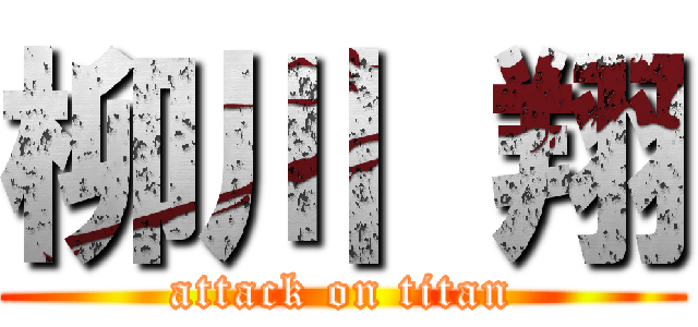 柳川 翔 (attack on titan)