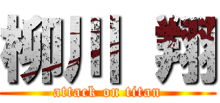 柳川 翔 (attack on titan)