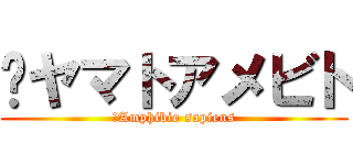 	ヤマトアメビト (	Amphibio sapiens)