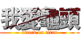 我愛龜頭 (attack on titan)