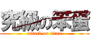 究級の笨蛋 (attack on titan)