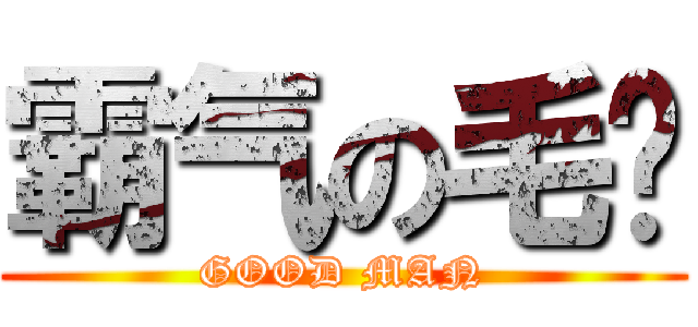 霸气の毛线 (GOOD MAN)