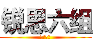 锐思六组 (全体组员)