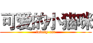 可爱的小猫咪 (lovely cat)