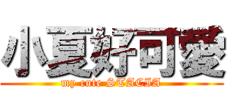 小夏好可愛 (my cute STACIA)